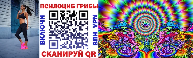 Псилоцибиновые грибы Psilocybe  Купить где  Харабали 